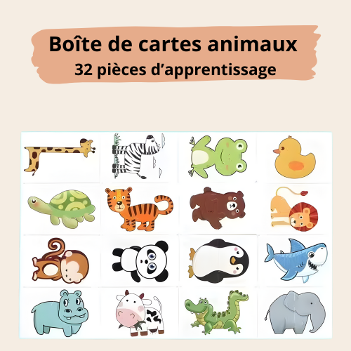 32 cartes d'illumination éducatives – puzzle d’association 32 pièces